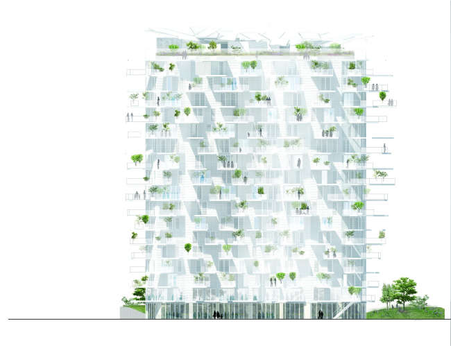 ����� L′Arbre Blanc