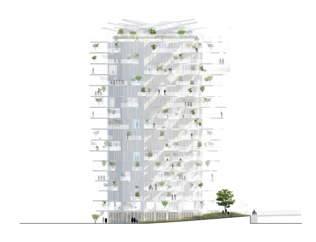 ����� L′Arbre Blanc