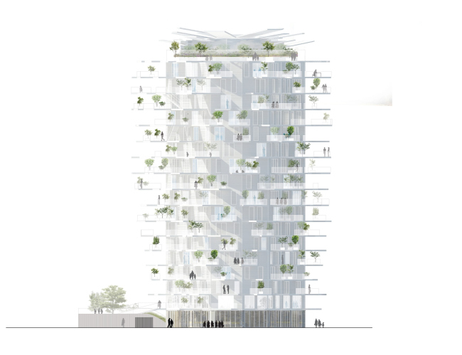 ����� L′Arbre Blanc