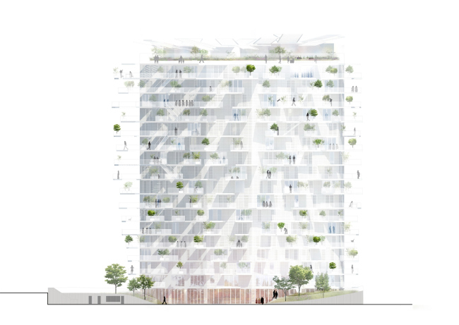 ����� L′Arbre Blanc