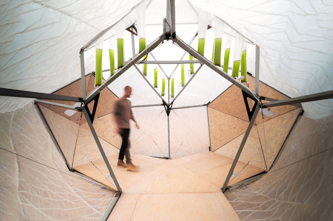 ������ Mars Lab ��� D-MARS