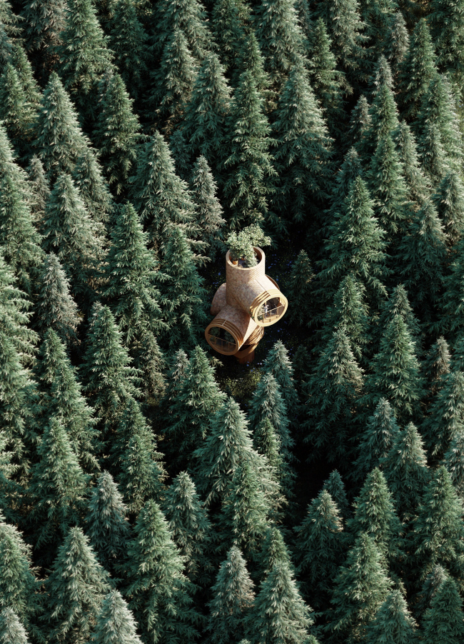 ��� �� ������ �����