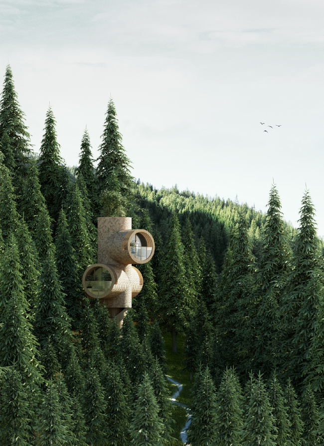 ��� �� ������ �����