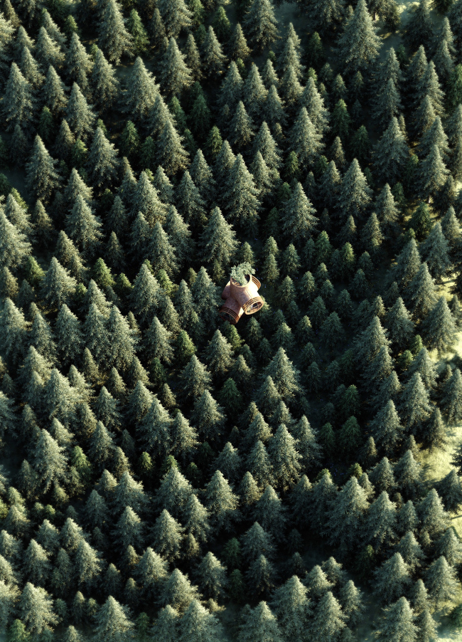 ��� �� ������ �����