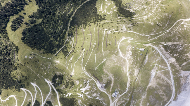 ���������� ������� ����� ����������