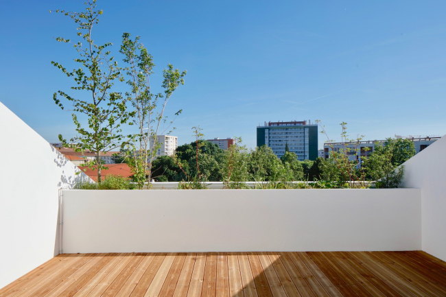 ����� ������ ������ ����� � ��������� �������� �����