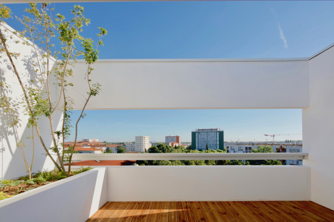 ����� ������ ������ ����� � ��������� �������� �����