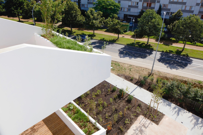 ����� ������ ������ ����� � ��������� �������� �����