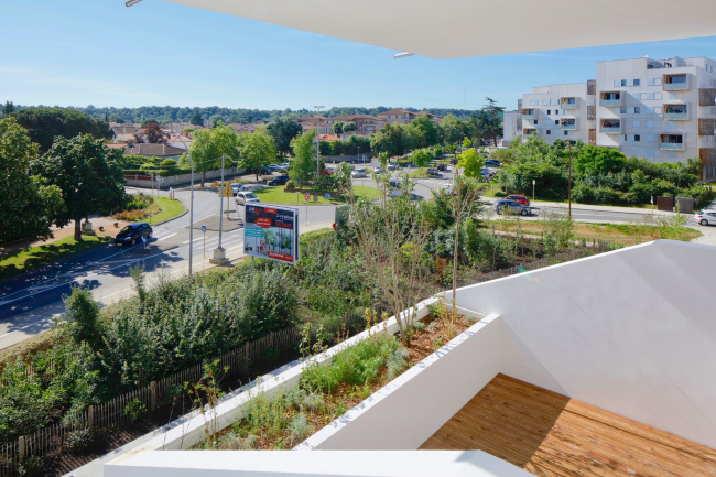 ����� ������ ������ ����� � ��������� �������� �����