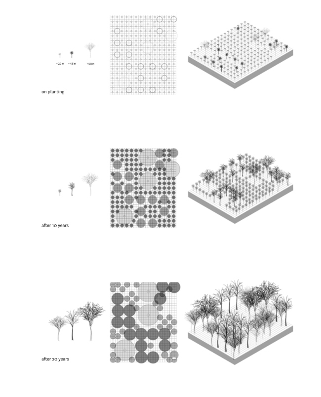 ����� ������ ������ ����� � ��������� �������� �����