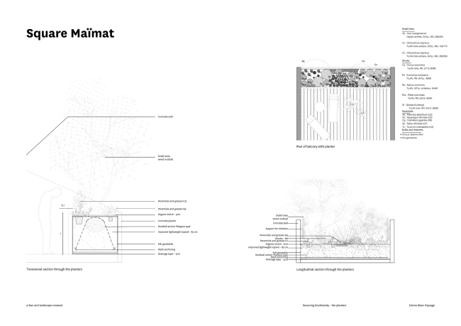 ����� ������ ������ ����� � ��������� �������� �����