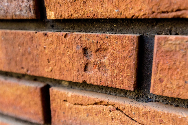 ����� �������� �������� ���������