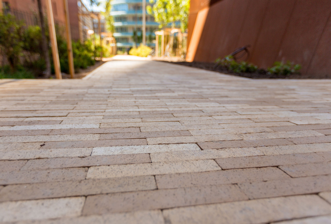 ����� �������� �������� ���������