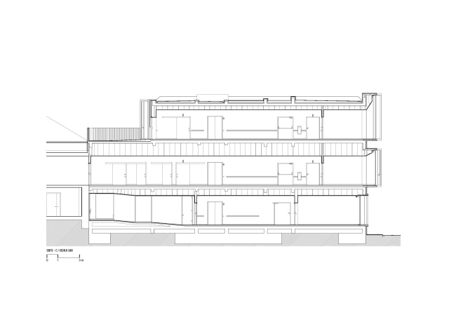 ��� ����������� �����-����-��-������������