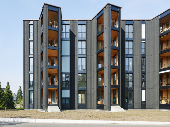 ����� �������� � ������ ���� � ����������