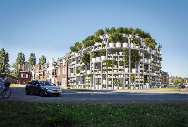 ����� ��� Green Villa