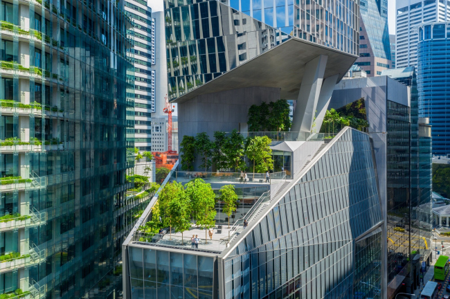 ��������� Robinson Tower