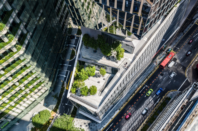 ��������� Robinson Tower