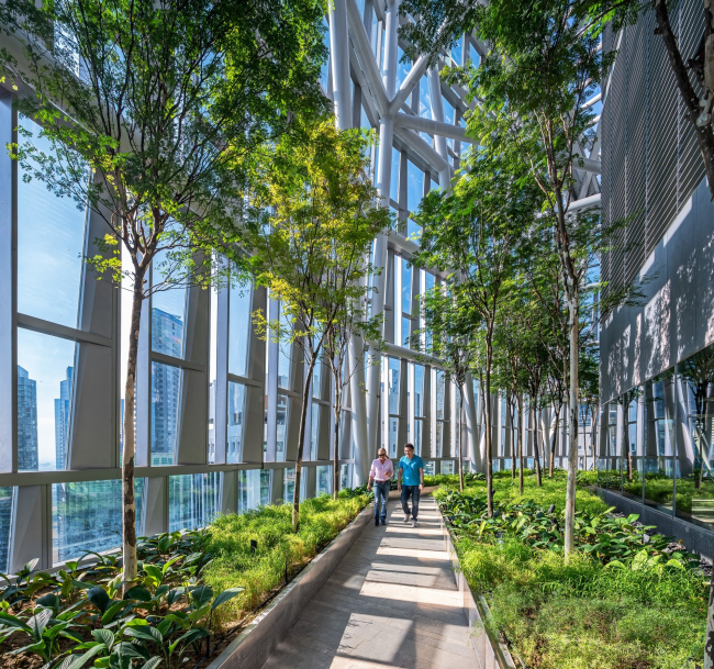 ��������� Robinson Tower