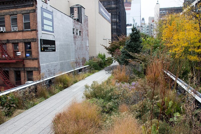 ���-����. ������ �������