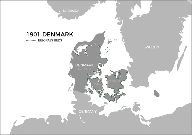 ������ ������������ �� ������� ���������� / Seaweed Architecture