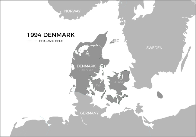 ������ ������������ �� ������� ���������� / Seaweed Architecture