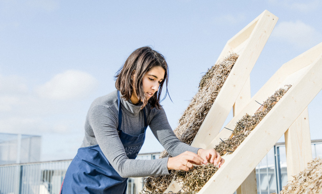 ������ ������������ �� ������� ���������� / Seaweed Architecture