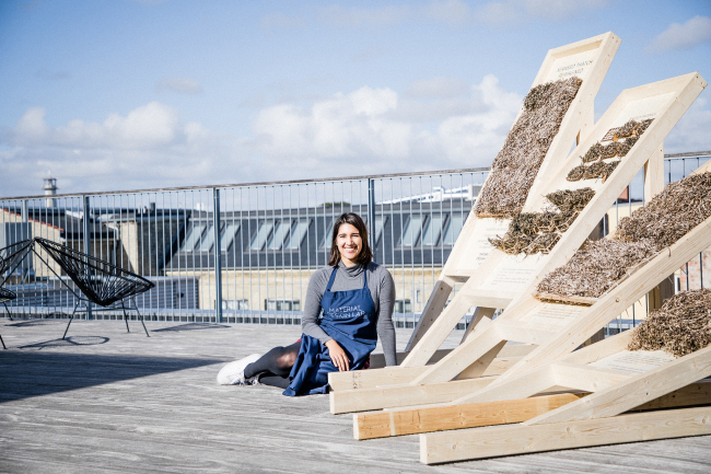 ������ ������������ �� ������� ���������� / Seaweed Architecture