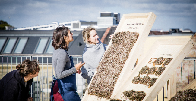      / Seaweed Architecture