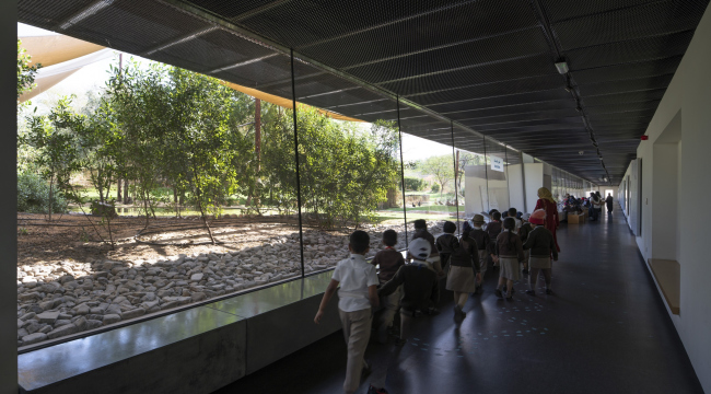 ����� �����-�������� ������ ������. ��������� �������