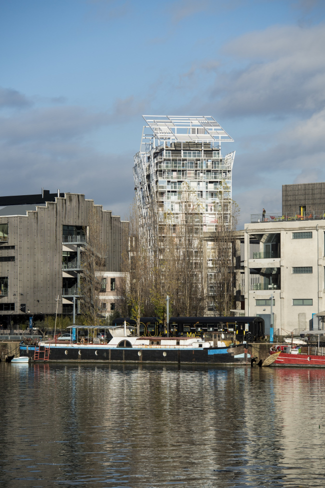 ����� �������� Ycone