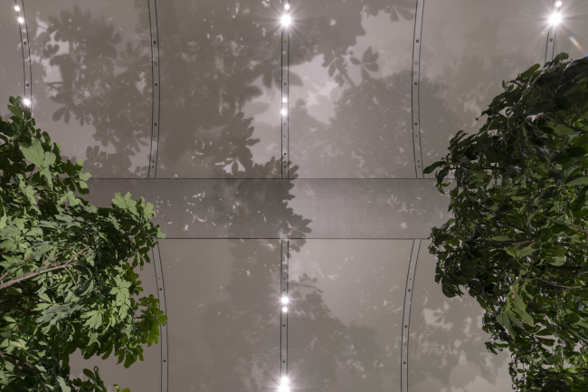 ������� Apple � �������� ������ Aventura Mall