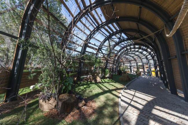 ������� ���� ����������� ��������