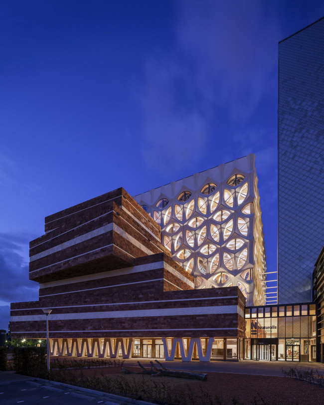 ����� ��������������� Naturalis