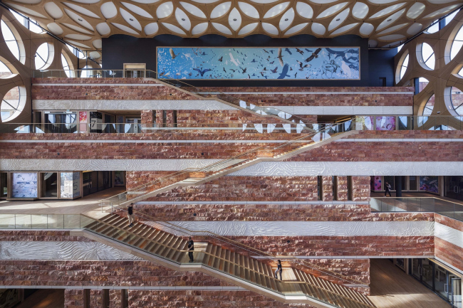 ����� ��������������� Naturalis