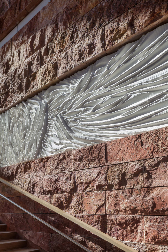 ����� ��������������� Naturalis