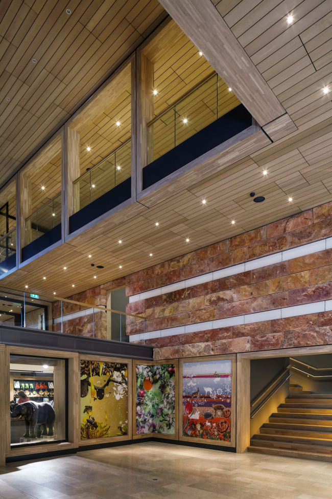 ����� ��������������� Naturalis