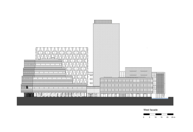 ����� ��������������� Naturalis