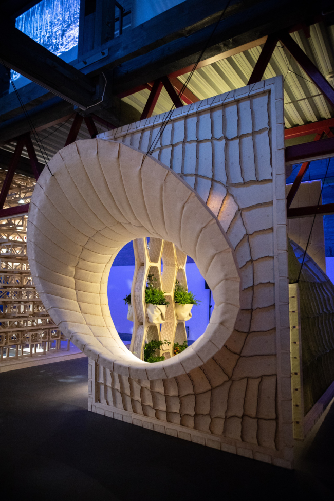       2019. Yael Reisner and Barnaby Gunning