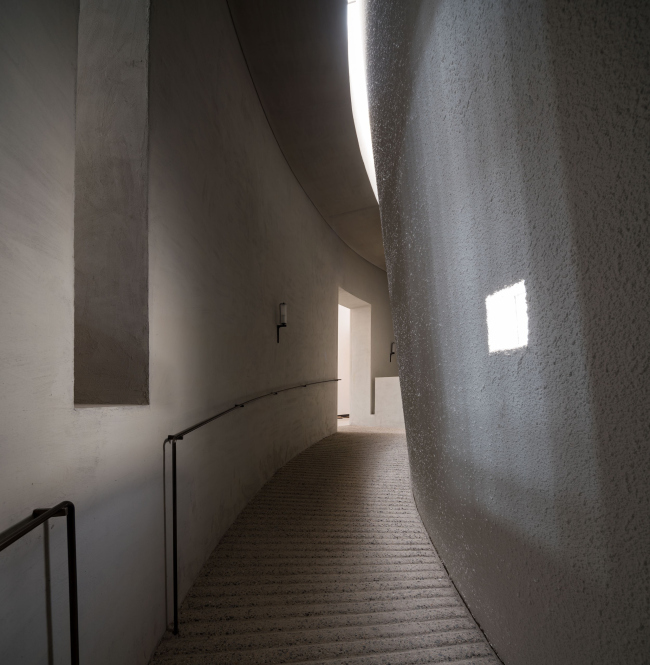 ����� �������� Aranya