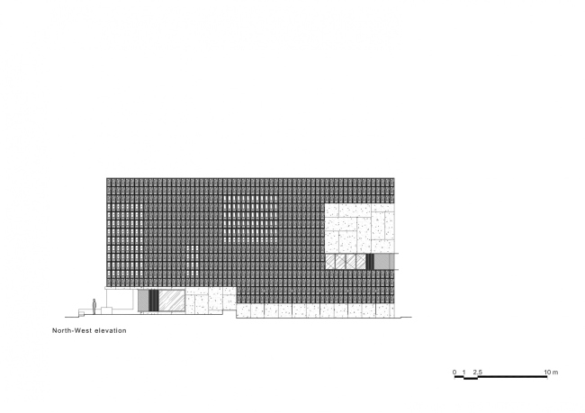 ����� �������� Aranya