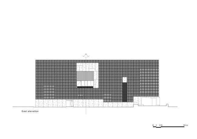 ����� �������� Aranya