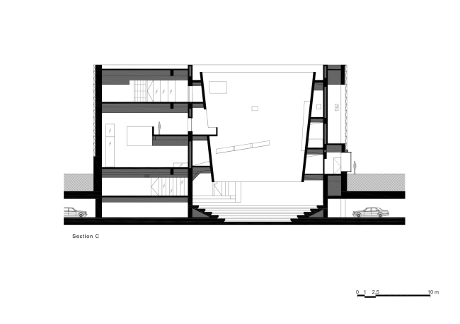 ����� �������� Aranya