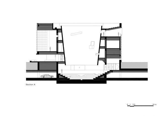 ����� �������� Aranya