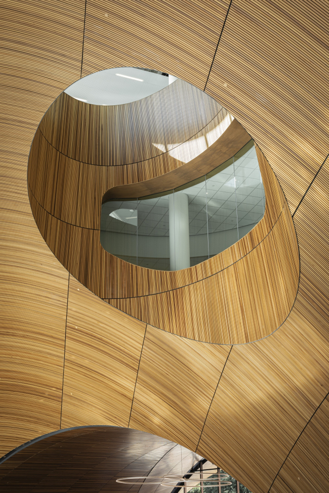 ���������� ������������ �����