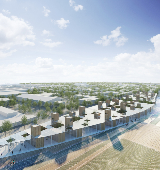 LINES REHAB. ����� ������� ����� ����� � ���������� � ��������� ������������� �������
