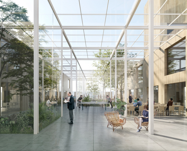 LINES REHAB. ��� �� ������������ ����. ������ ���������� ����� �����, ��������� ����-��������� � ������������ �������