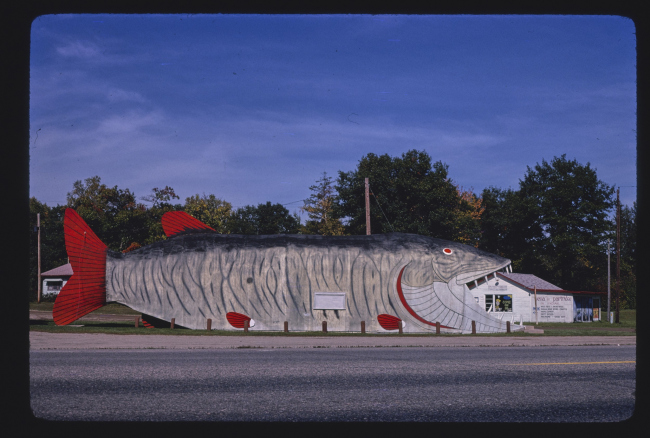 ����������� Big Fish Supper Club (1980). ����� 2, ����, ���������