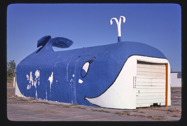 ��������� ���� (1979). ��������-����, ��������