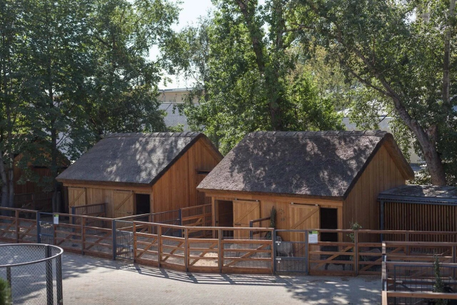 The children′s zone of the Moscow Zoo